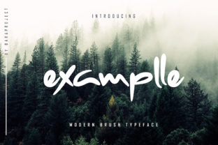 Examplle Font: Fun Script Typography for Business Branding