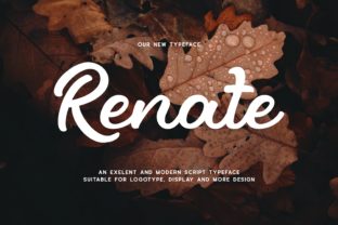 Renate Font: Bold Display Typography for Branding