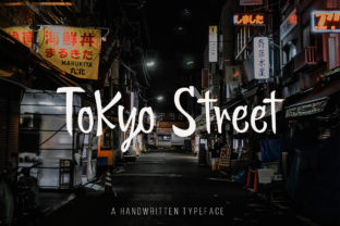 Tokyo Street Font: Bold Display Typography Guide
