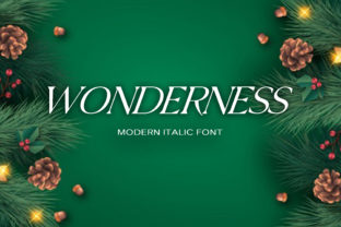 Wonderness Font: Elegant Display Typography for Digital Campaigns
